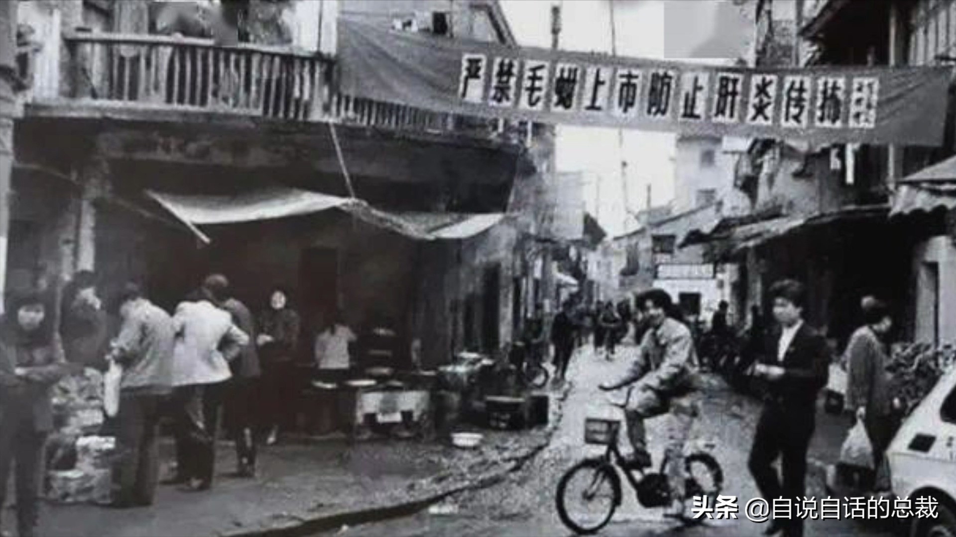 蚬蚌蛏的区别是什么,蚶子蛤蜊蚬子区别