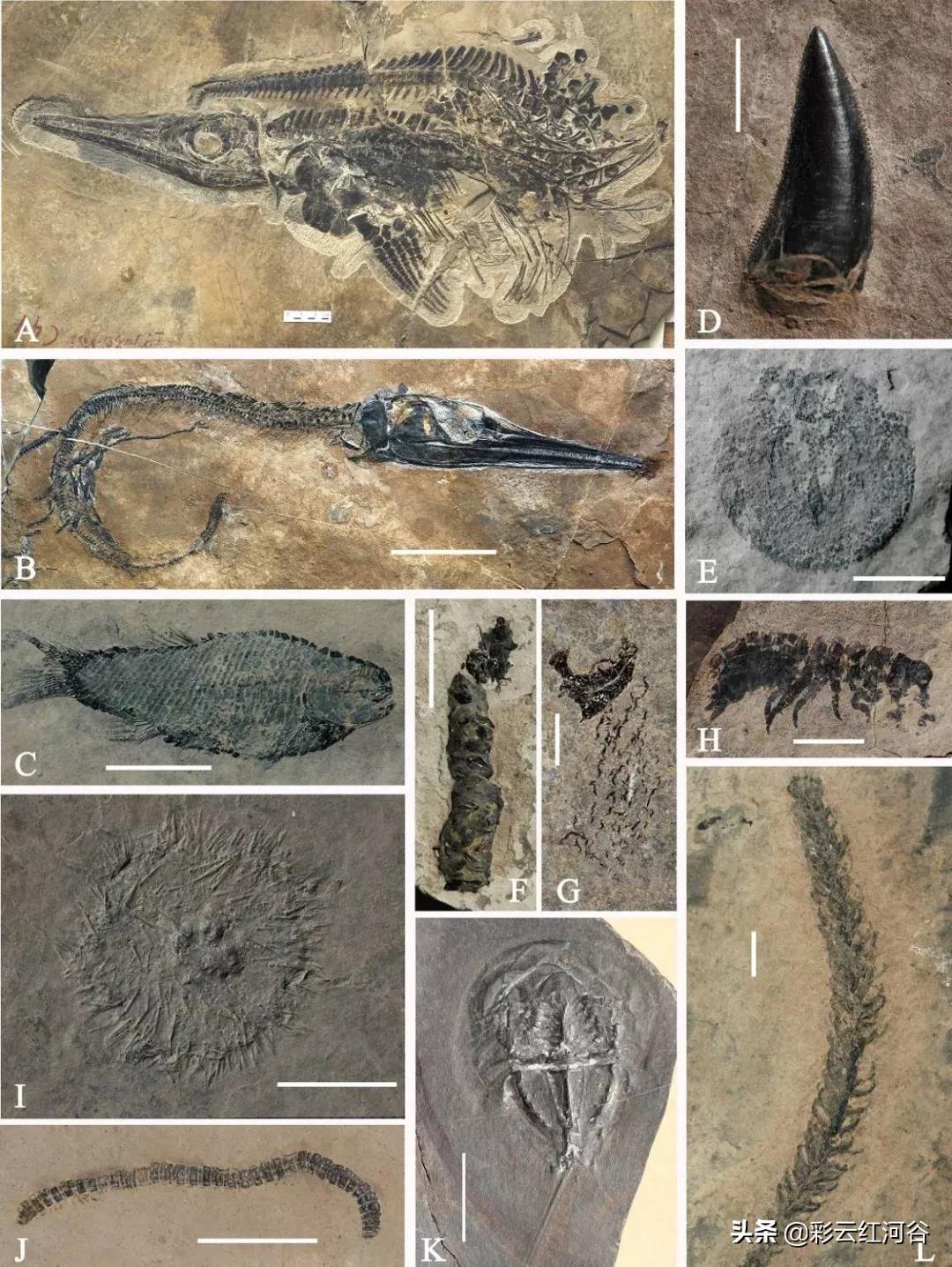 中国云南哪里好看,云南的云彩为什么好看