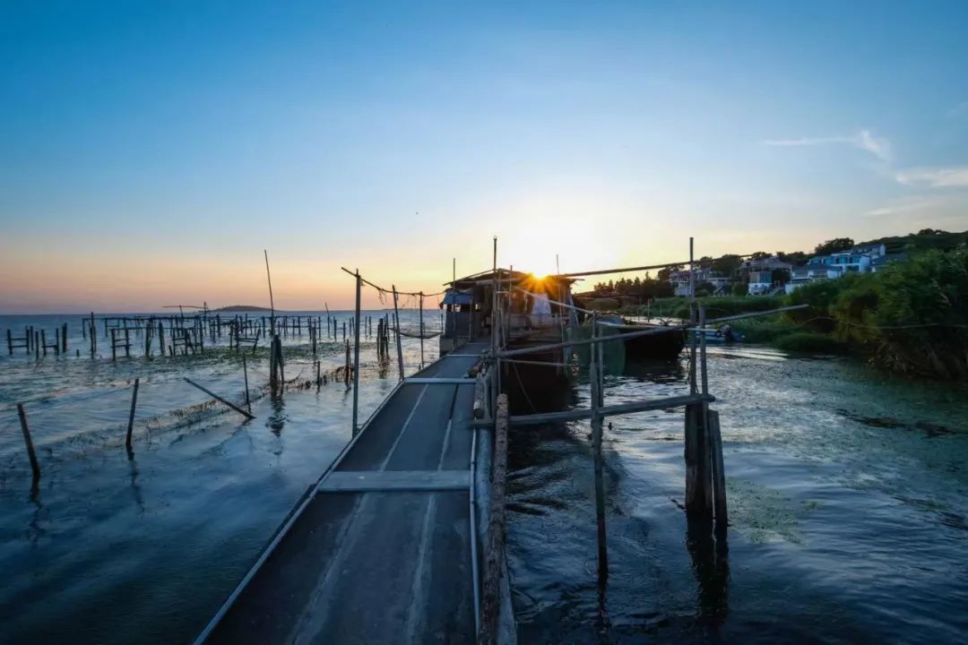 四季苏州|初夏“梅”好相遇，来西山度过酸酸甜甜的一天