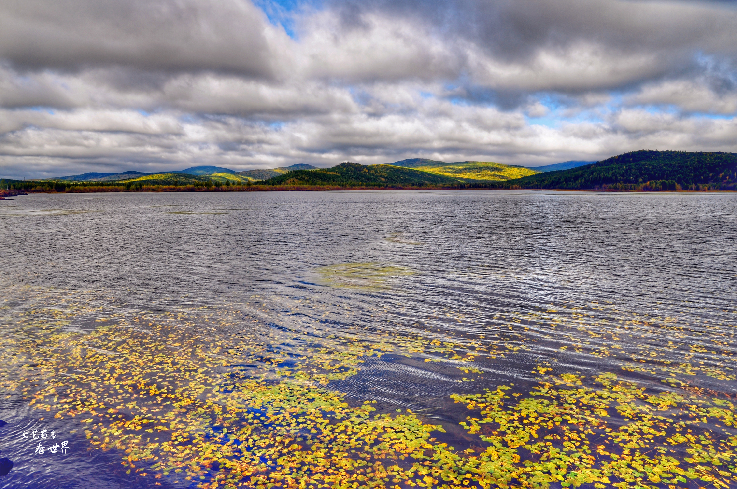 阿尔山的冬天就是童话世界,如果你第一次来到草原会感叹什么