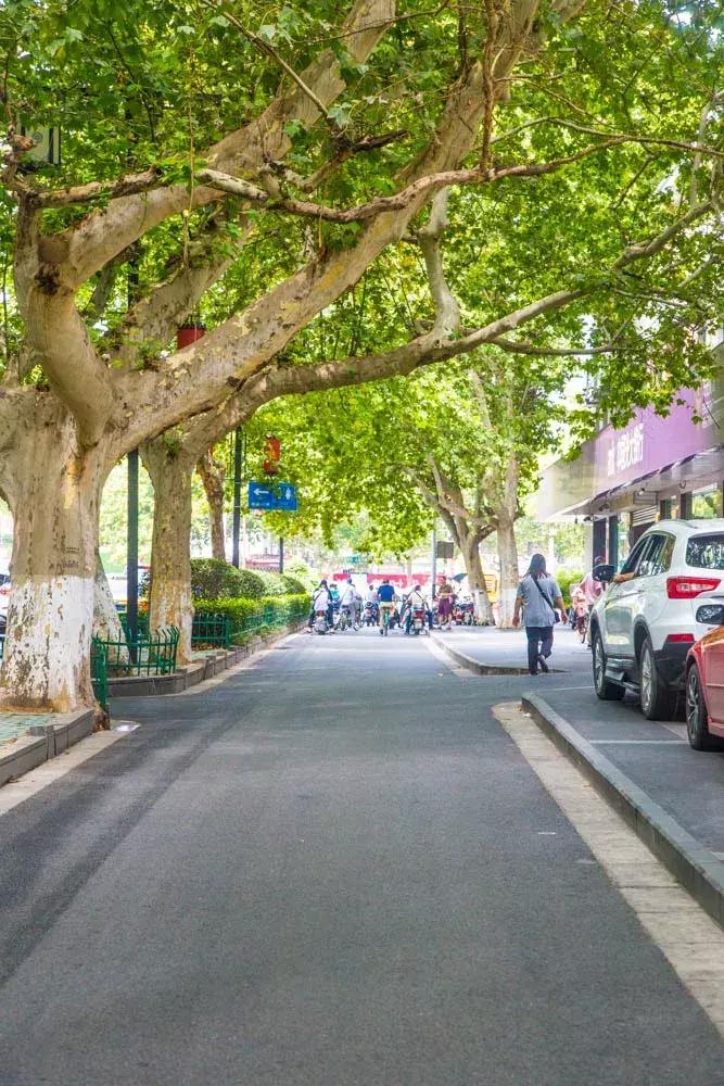 夫子庙大市场位置,夫子庙大市场怎么样