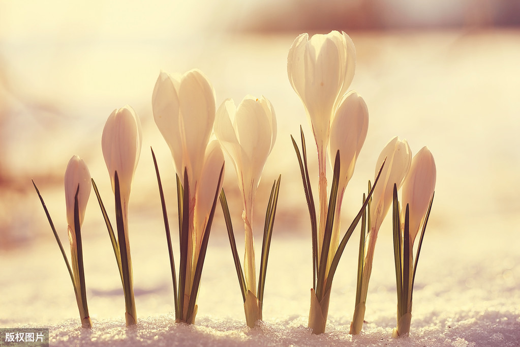 恒指期货傻瓜式操作,恒指期货好做么