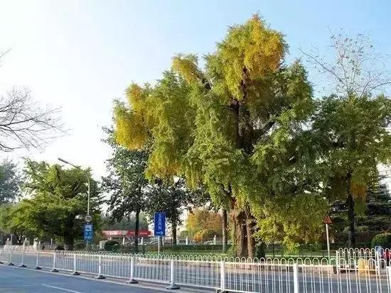 周恩来总理为新中国保护了多少*物文**古迹？