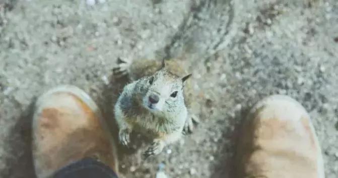 做了15年宠物服饰，这次我们做了个萌宠试衣间|它它李伟波