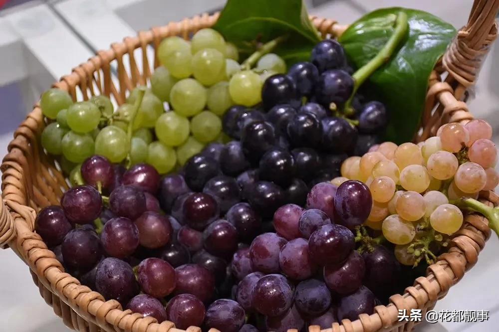 美丽泽州我的家,美丽我的家