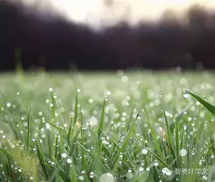 最具中国文化的十个汉字,50个最具中国文化的汉字