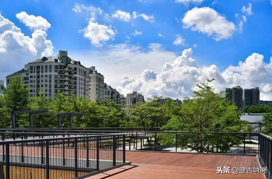 深圳是哪一年开始评为一线城市,深圳是什么时候成为一线城市的