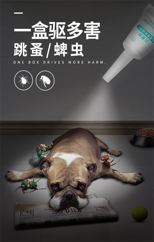 哪个牌子的狗狗驱虫药效果好？雷米高贝宠安荣登榜首