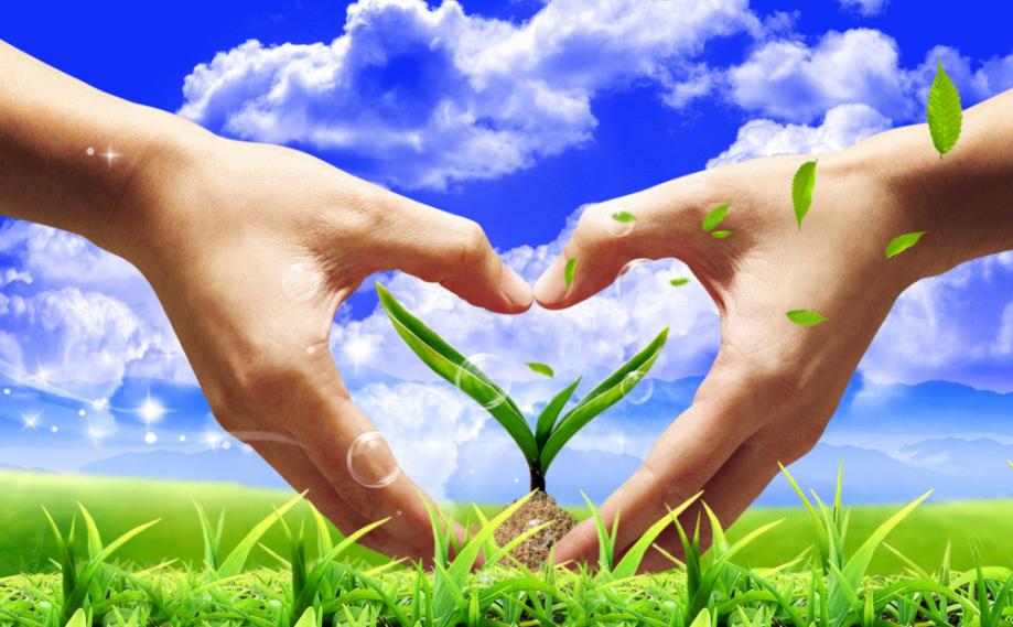 铁线虫寄生螳螂剖析图,铁线虫为啥寄生螳螂体内