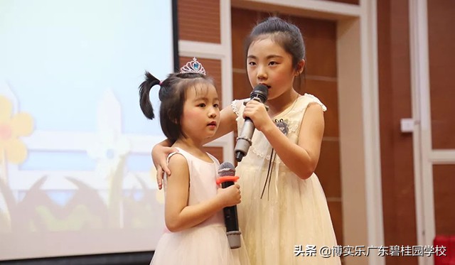 第九届碧桂园杯,第十二届碧桂园杯