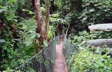 印度半岛国家分布图,印度半岛国家