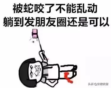 蛇在什么情况下才会主动攻击人,蛇会互相攻击吗