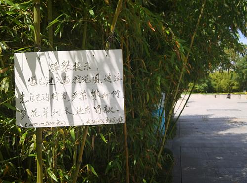 鑰佷汉鍏洯鐖爲鎽樻瀲鏉疯姘戣鍔濋樆,鍏洯鎽樻瀲鏉疯淇濆畨璁枼