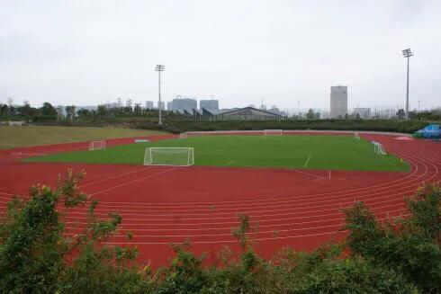 深圳免费公园哪里最好啊,深圳十大免费公园景点大全