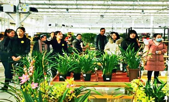 兰州新区三月游,五一兰州新区游