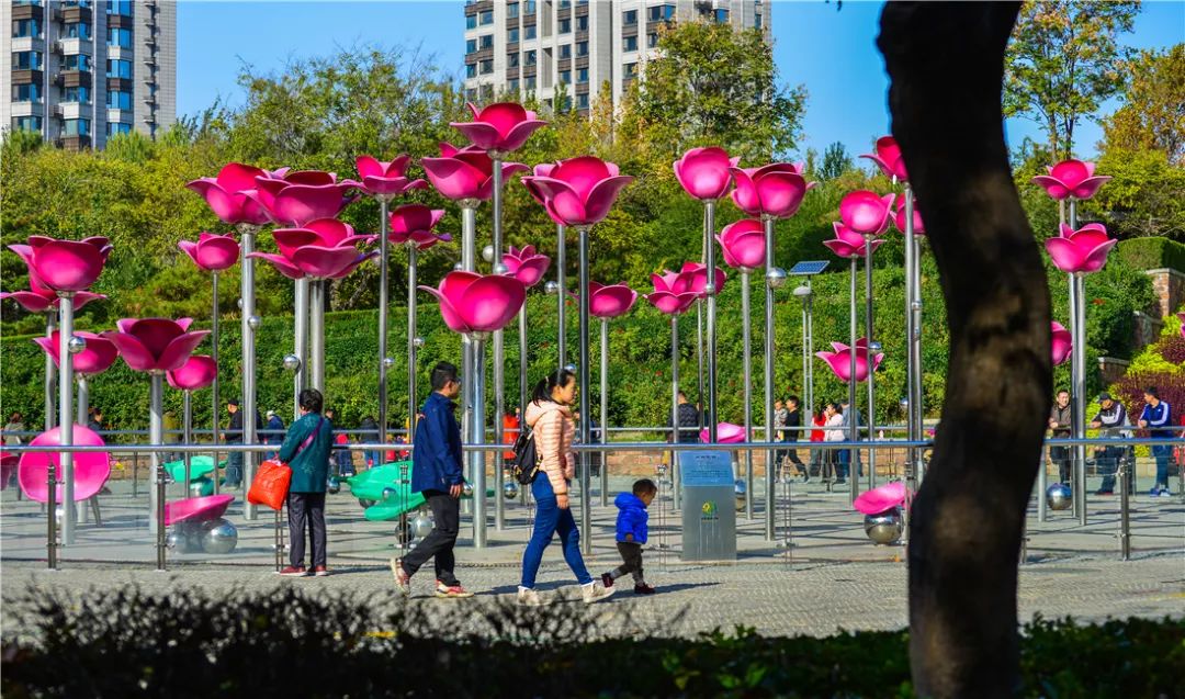 济南森林公园雪景,济南最美森林公园