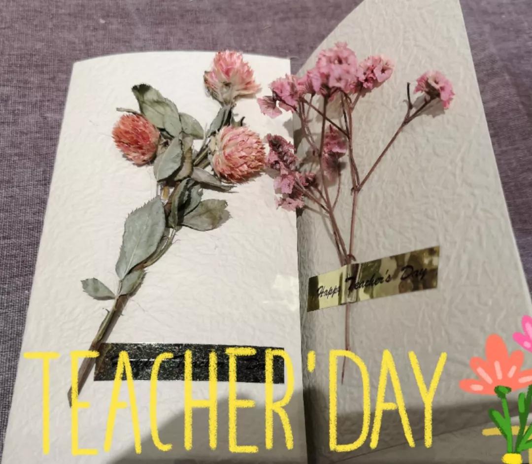 教师节贺卡手抄报图片,关于教师节的手抄报和贺卡