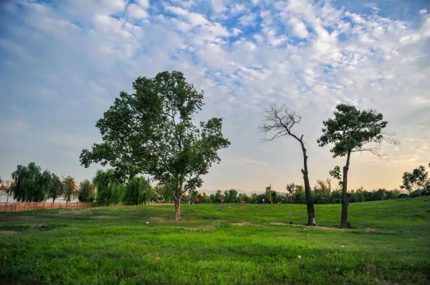 盛夏必去的网红打卡地,暑假适合去的网红打卡地