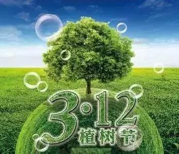 植树节播种绿色希望收获美好未来,植树节爱绿护绿文明有我