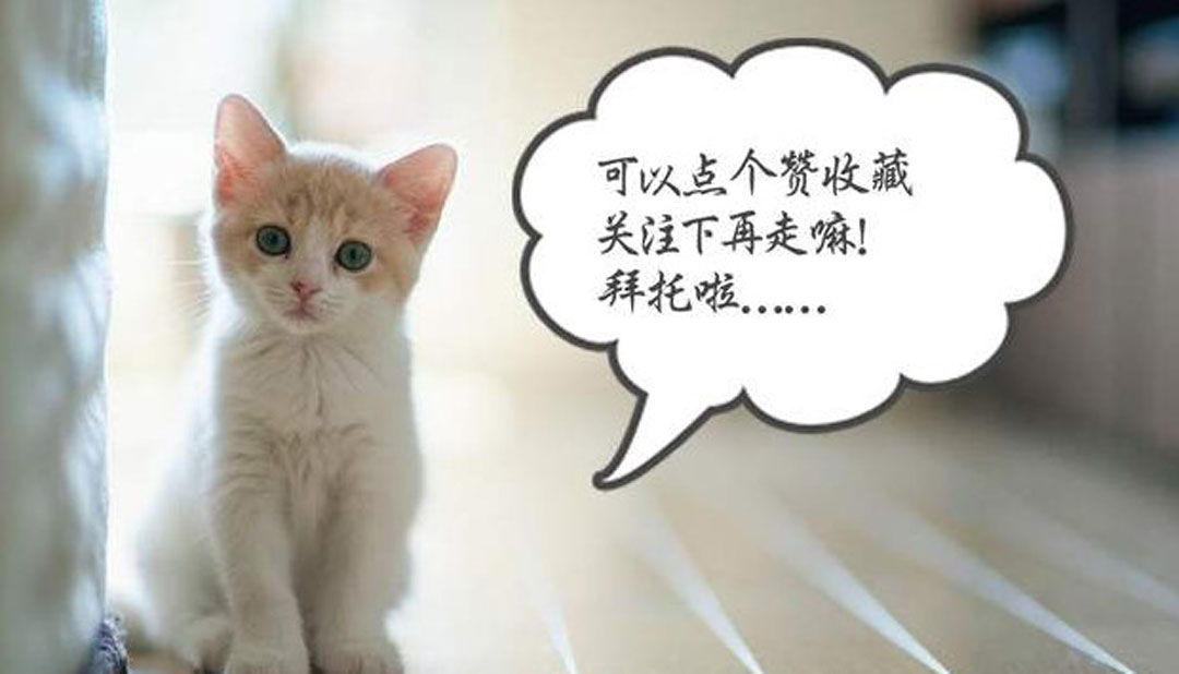 春季减肥吃什么瘦得快,春季减肥你掌握了这套黄金法则吗