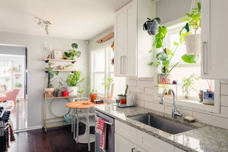 100㎡的家养了99株植物，我醉氧了…