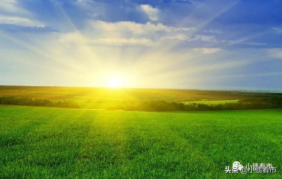 饲料大王从白手起家到身家百亿,2013年身价400亿的饲料大王