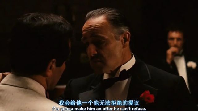 新手怎么开宠物店创业方案,怎么创业开宠物店需要什么条件