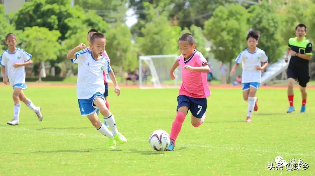 区中小学足球联赛,体教融合杯中学篮球赛