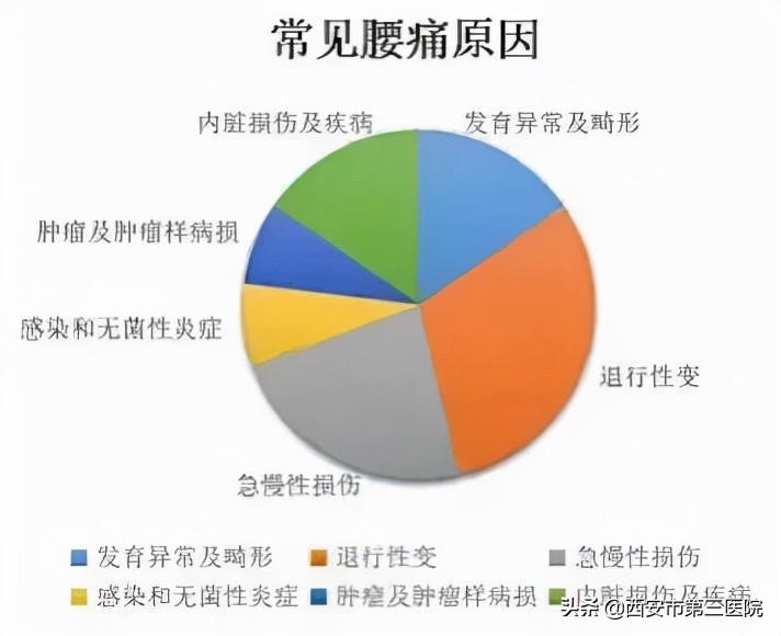 腰痛原因自查,腰痛怎么辨证分析
