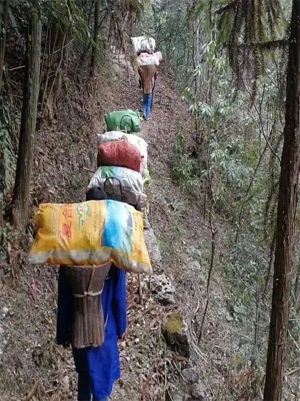 盘点疫情中那些振奋人心的古诗词，值得我们久久回味