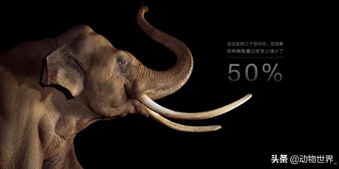 守护生物多样性,请继续保持我们的生物多样性