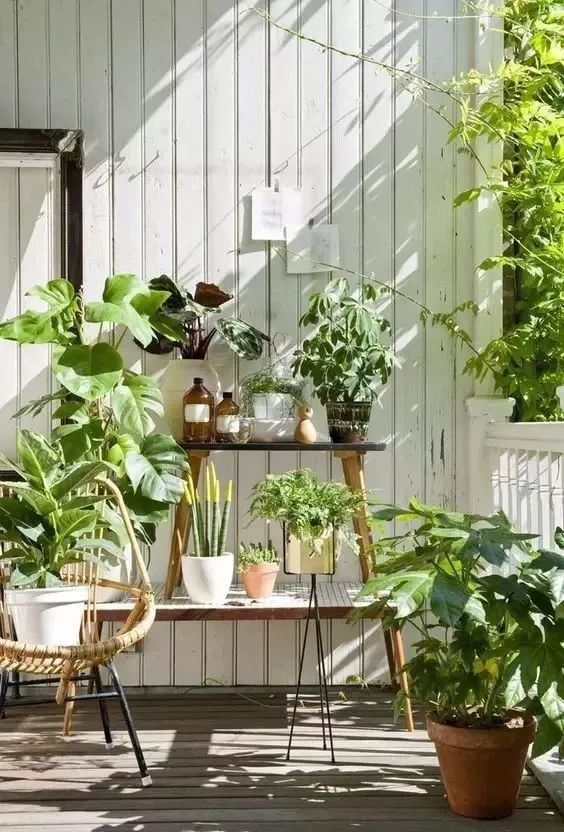 阳台变身小花园总有一款适合你,阳台可以打导致小花园吗