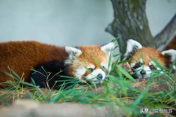 南京周边免费旅游景点推荐一日游,南京免费的旅游景点有哪些地方