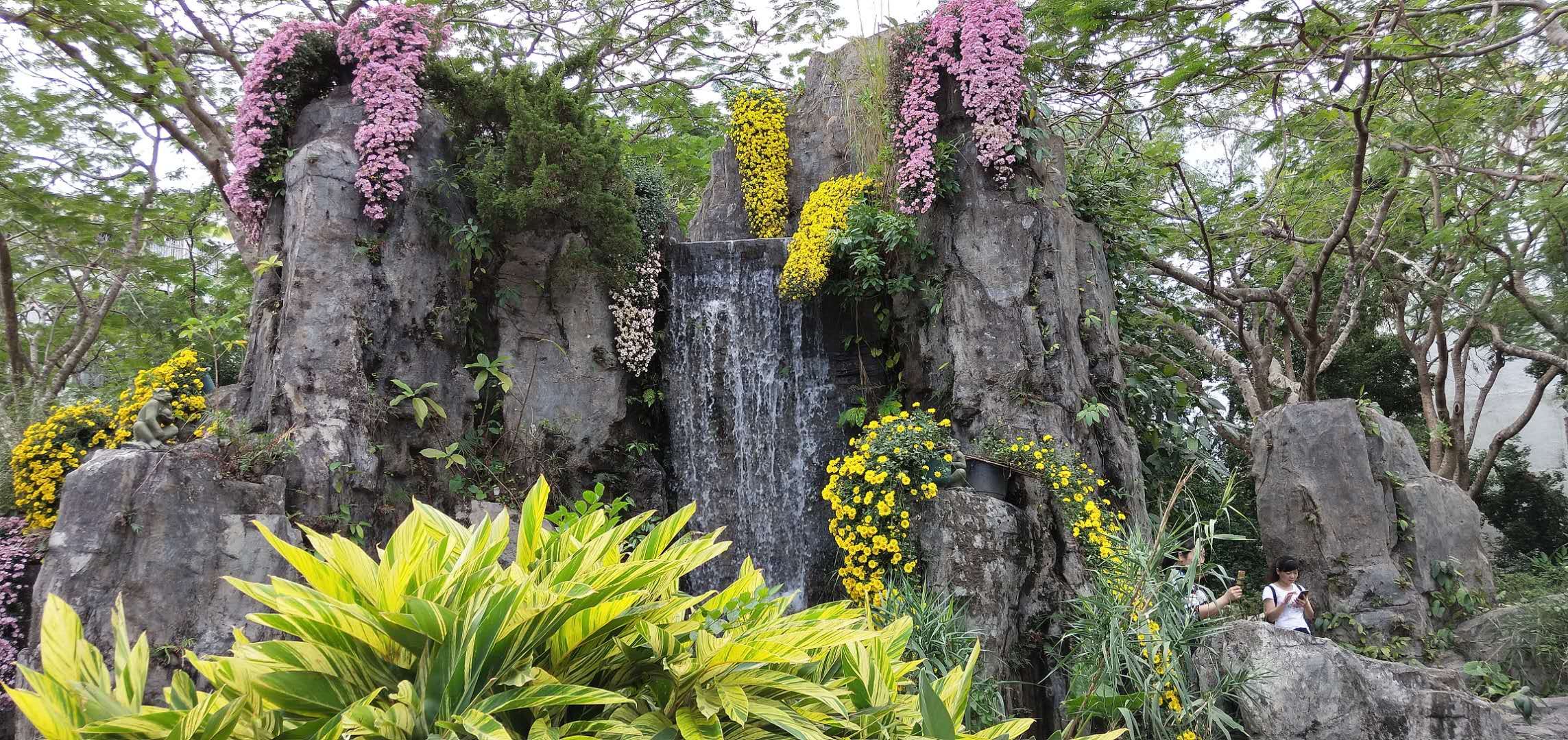 东湖公园菊花花展时间2021,深圳东湖荷节花展