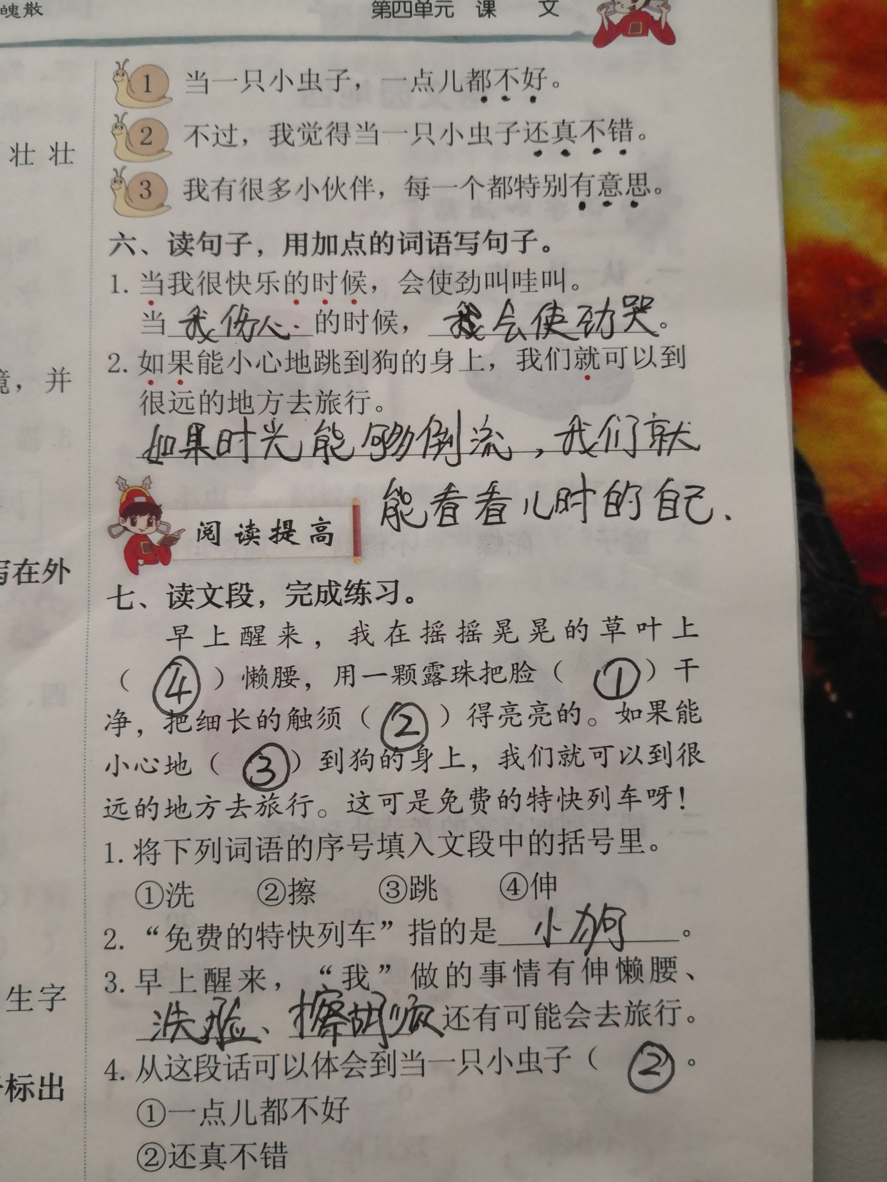 二年级11课我是一只小虫子讲解,二年级下册我是一只小虫子指什么