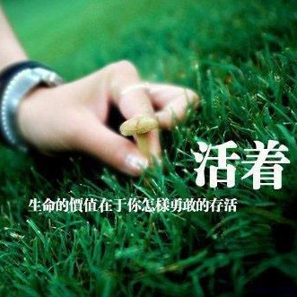 原来说过的情话都是谎言,还记得当初说过的情话