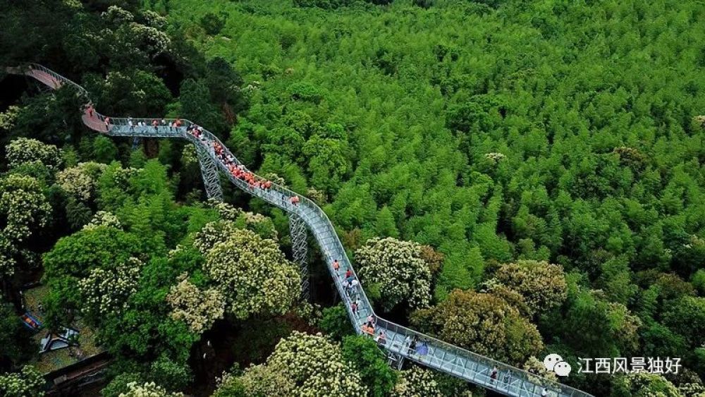 朱虹江西风景独好,朱虹唱的好风光