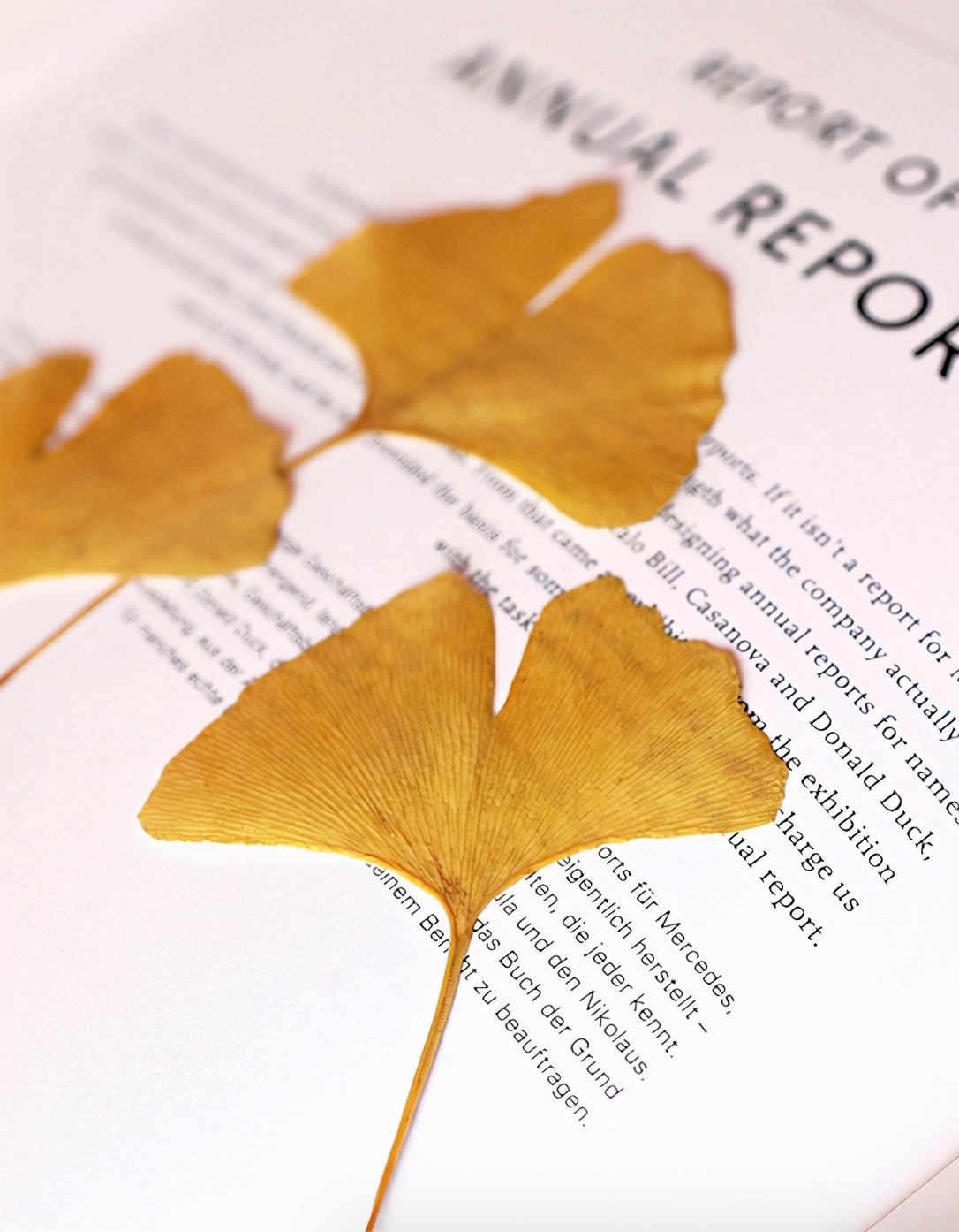 用银杏叶做一个非常有名的艺术品,小学生银杏叶手工简单