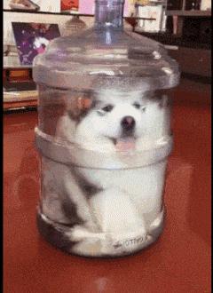 兄弟发型搞笑gif,搞笑男生发型gif