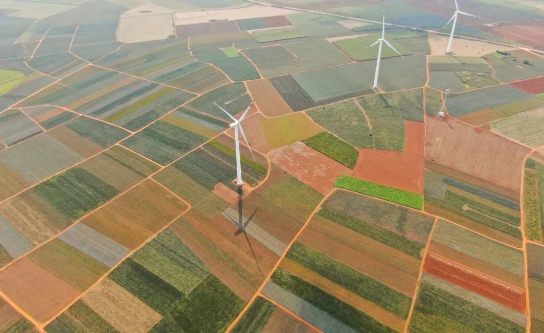 鑿犺悵鑿犺悵鑿犺悵鑿犺悵鑿犺悵,寰愰椈鑿犺悵浜戝崡鑿犺悵娴峰崡鑿犺悵鍖哄埆