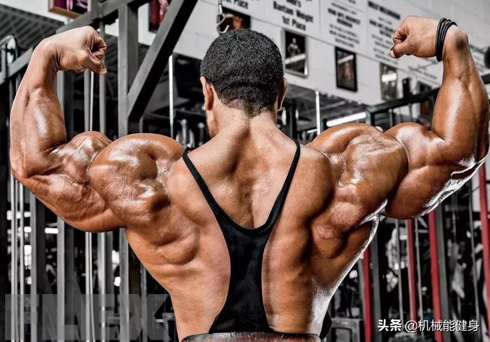 健身美背小背心一体式推荐,在健身房想练腿练哪些