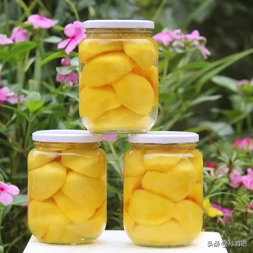 嘚吧嘚吧：关于东北地区的50条“冷知识”，看看你知道多少？