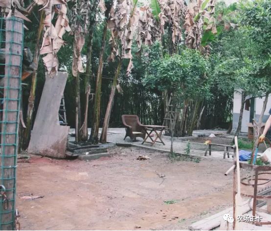 总共花了不到700元改造的废弃小院,花4万改造房子