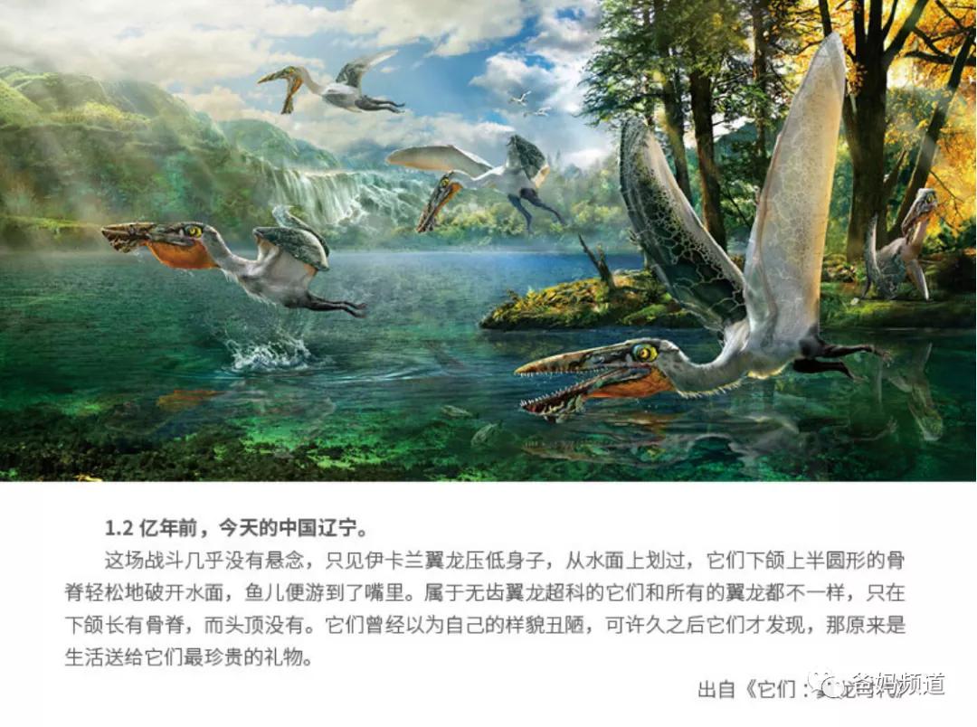 3-5岁儿童恐龙大全,0-6岁儿童恐龙合集