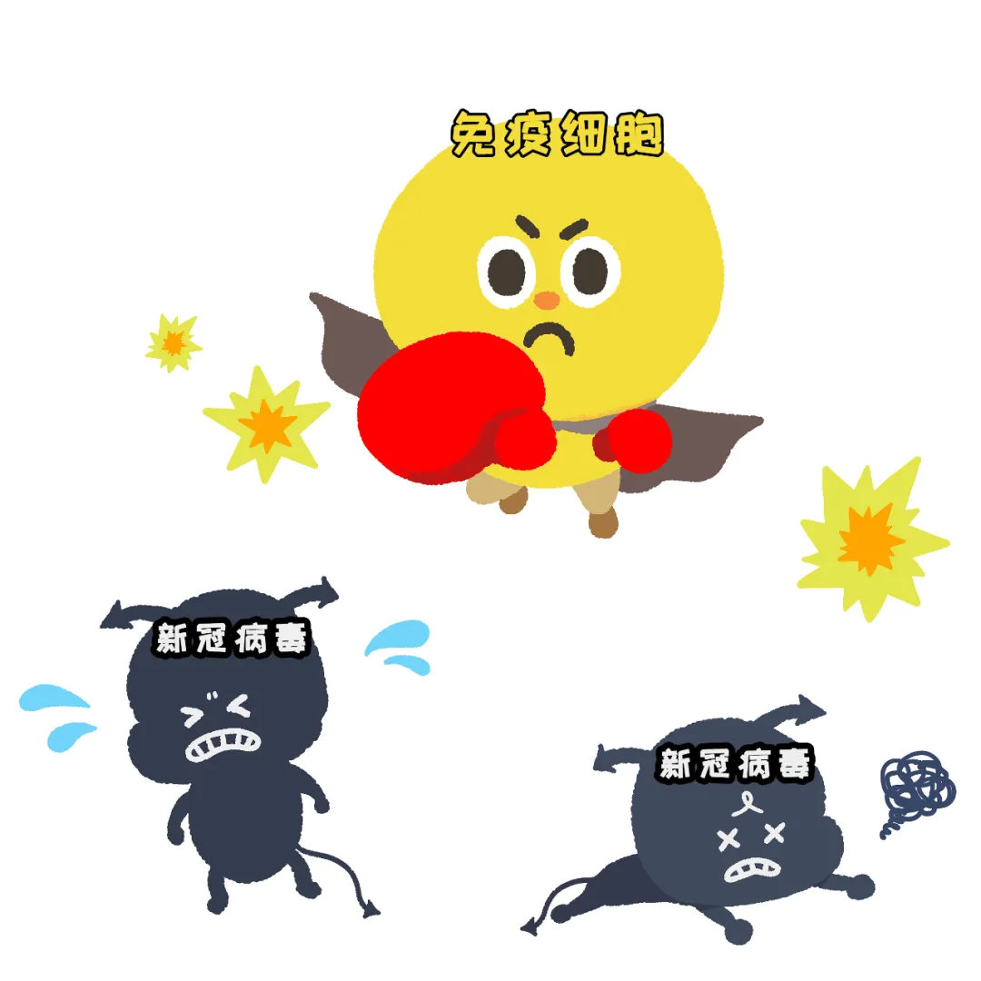 打新冠疫苗得新冠,打新冠疫苗是提高免疫力的吗