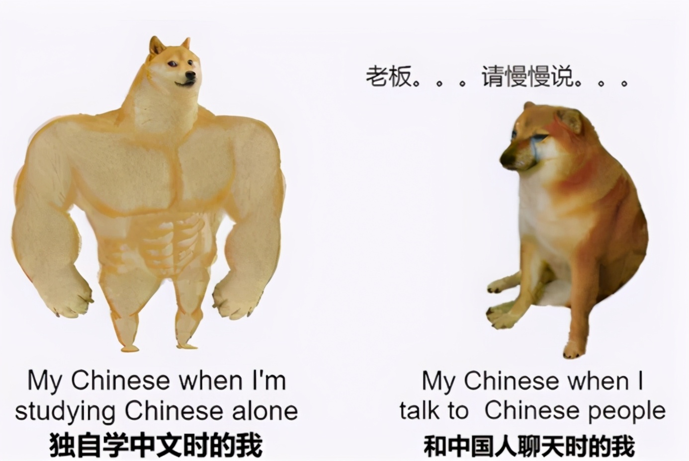 俄罗斯女生用中文写情书，结果秒变“段子手”，看完不笑我服你