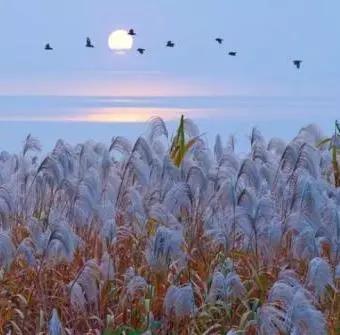 下元节一个不该被遗忘的节日,下元节有什么传统风俗习惯