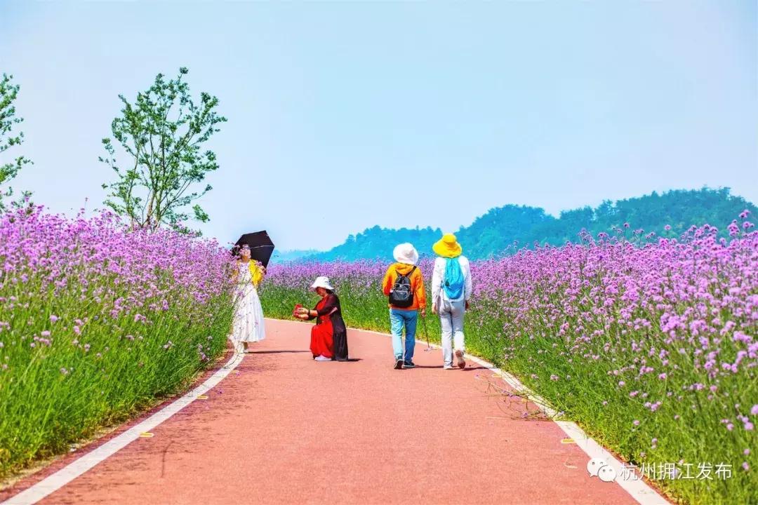 去千岛湖必经！淳安这条路“截胡”不少游客……