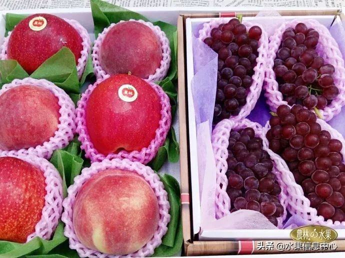 端午水果礼盒搭配在60元左右,端午水果礼盒搭配方案简单