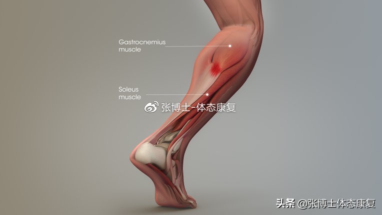 踝关节能力训练,增强踝关节灵活性训练方法